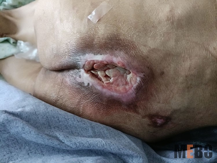 ����˹����ᡤ(�й�)����