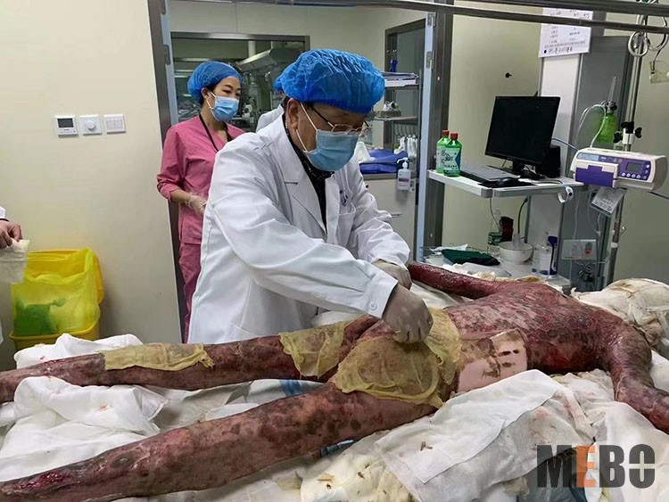 ����˹����ᡤ(�й�)����