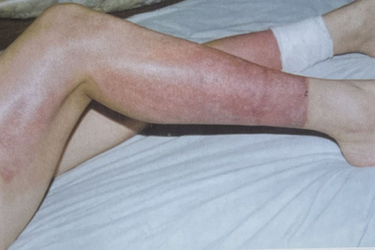 俄罗斯贵宾会·(中国)集团