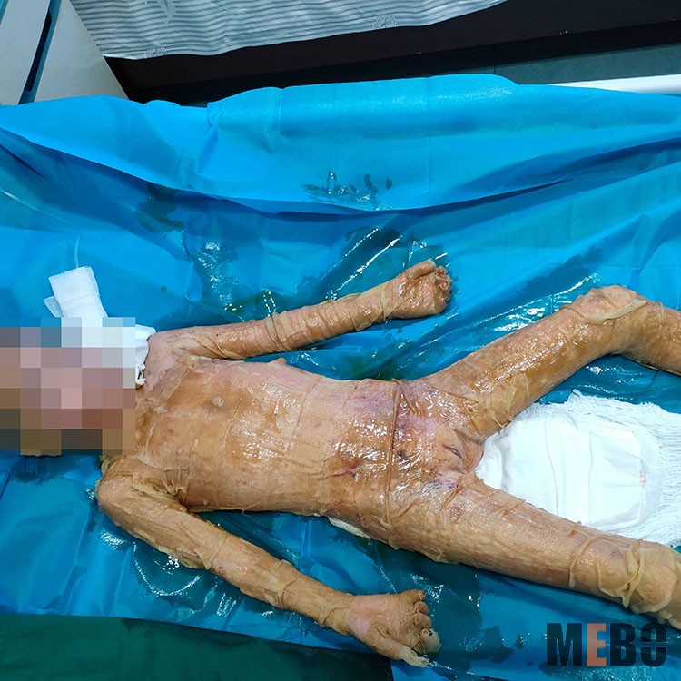 ����˹����ᡤ(�й�)����