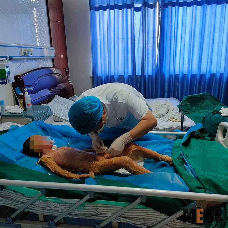 ����˹����ᡤ(�й�)����