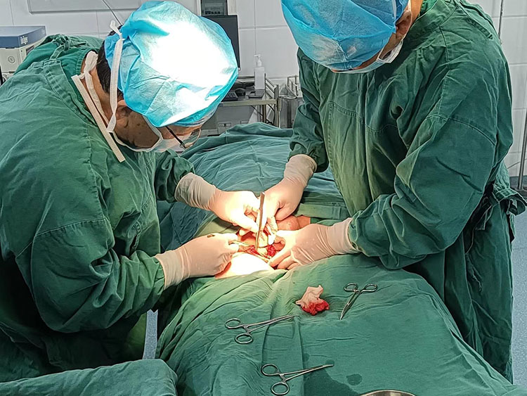 ����˹����ᡤ(�й�)����