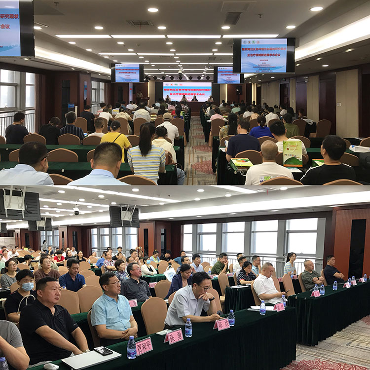 ����˹����ᡤ(�й�)����