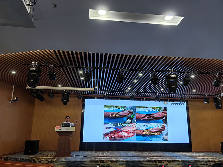 ����˹����ᡤ(�й�)����