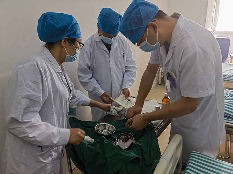 ����˹����ᡤ(�й�)����