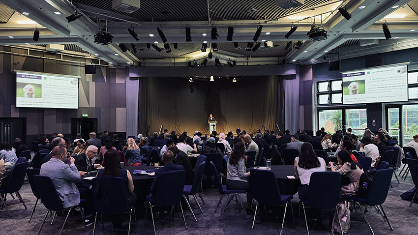 ����˹����ᡤ(�й�)����