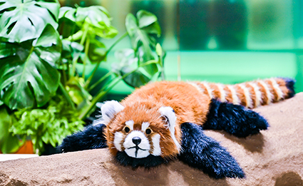 ����˹����ᡤ(�й�)����