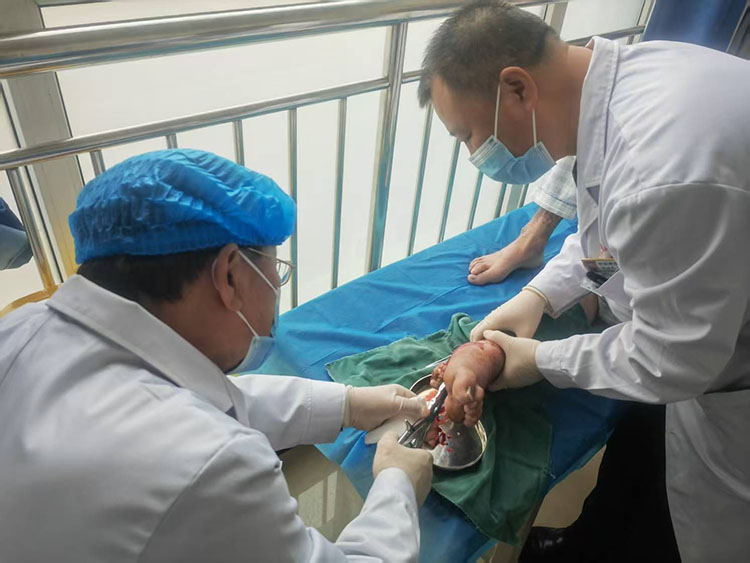 俄罗斯贵宾会·(中国)集团