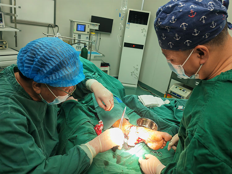 ����˹����ᡤ(�й�)����