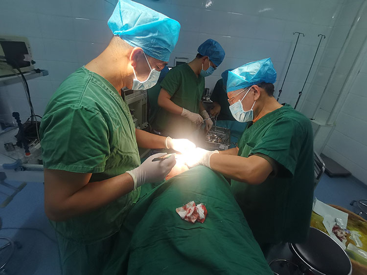 ����˹����ᡤ(�й�)����