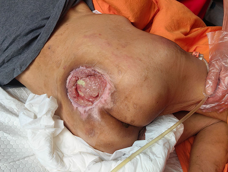 ����˹����ᡤ(�й�)����