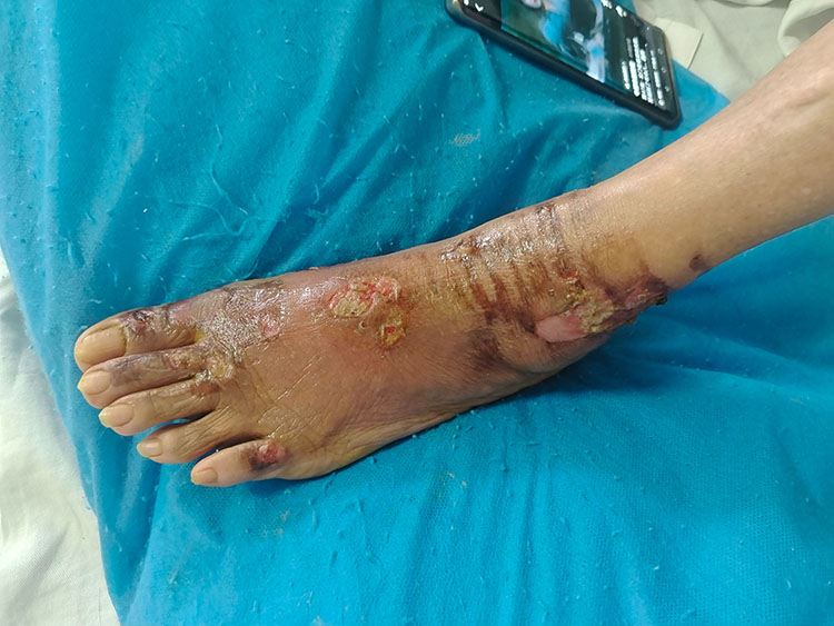 ����˹����ᡤ(�й�)����