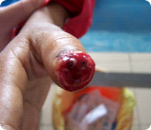 俄罗斯贵宾会·(中国)集团