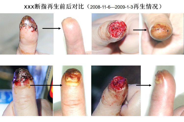 俄罗斯贵宾会·(中国)集团