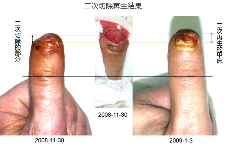 俄罗斯贵宾会·(中国)集团