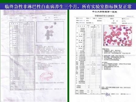 俄罗斯贵宾会·(中国)集团