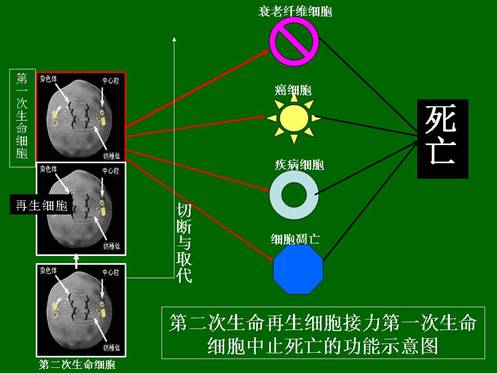 俄罗斯贵宾会·(中国)集团