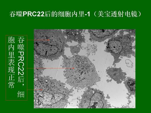 俄罗斯贵宾会·(中国)集团
