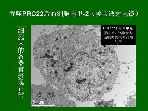 俄罗斯贵宾会·(中国)集团