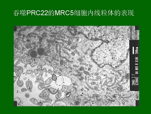俄罗斯贵宾会·(中国)集团