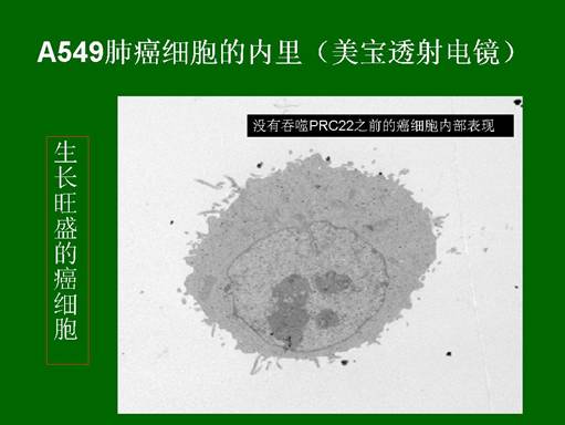 俄罗斯贵宾会·(中国)集团