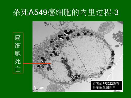 俄罗斯贵宾会·(中国)集团