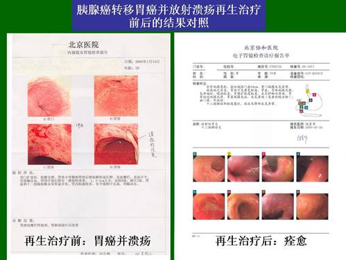 俄罗斯贵宾会·(中国)集团