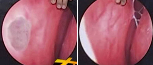 俄罗斯贵宾会·(中国)集团