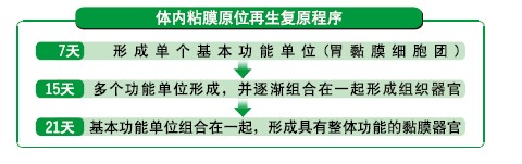 ����˹����ᡤ(�й�)����