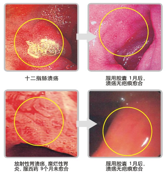 ����˹����ᡤ(�й�)����