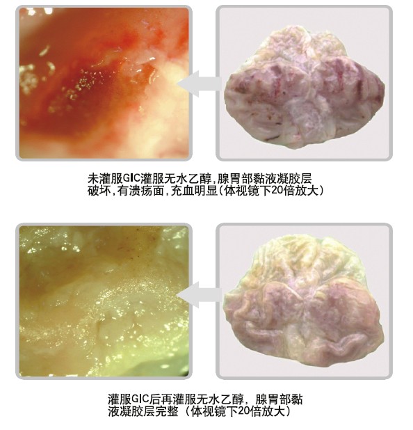 ����˹����ᡤ(�й�)����