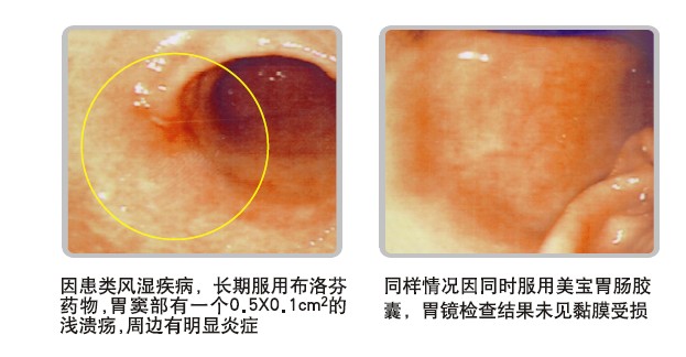 ����˹����ᡤ(�й�)����