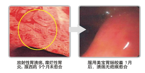 ����˹����ᡤ(�й�)����