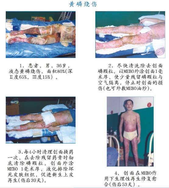 俄罗斯贵宾会·(中国)集团