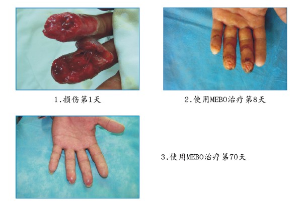 ����˹����ᡤ(�й�)����