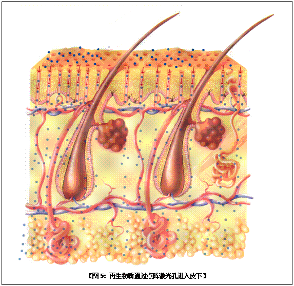 俄罗斯贵宾会·(中国)集团