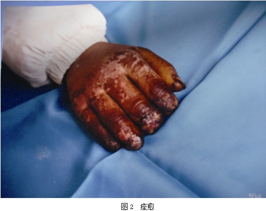 ����˹����ᡤ(�й�)����