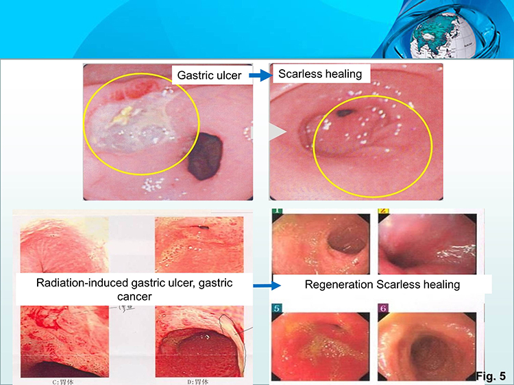 ����˹����ᡤ(�й�)����