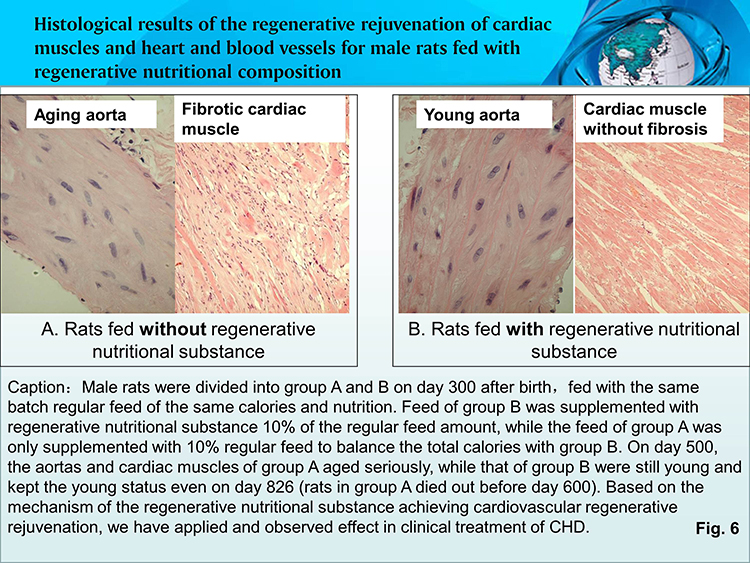 ����˹����ᡤ(�й�)����