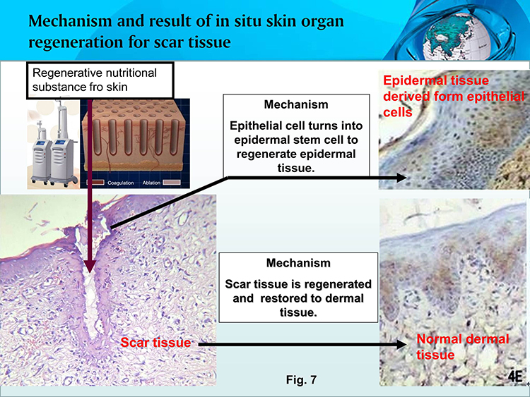 ����˹����ᡤ(�й�)����