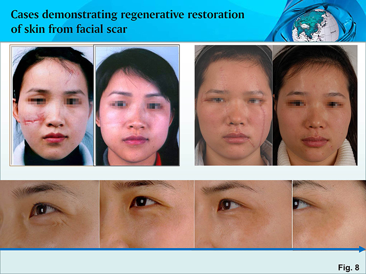 ����˹����ᡤ(�й�)����