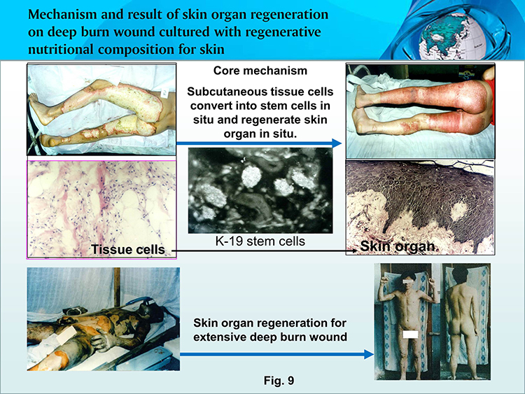 ����˹����ᡤ(�й�)����