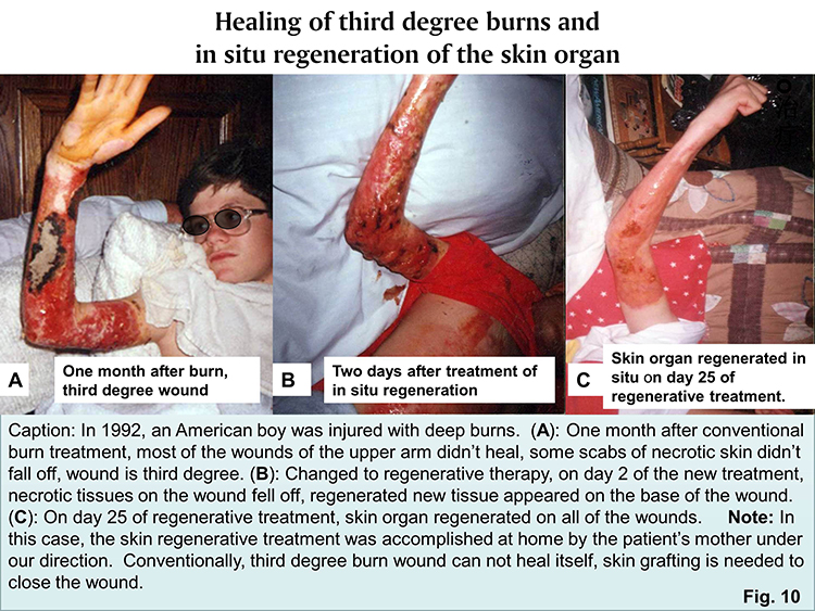 ����˹����ᡤ(�й�)����