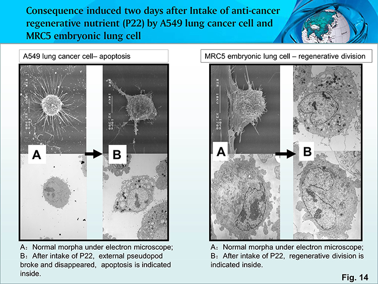 ����˹����ᡤ(�й�)����