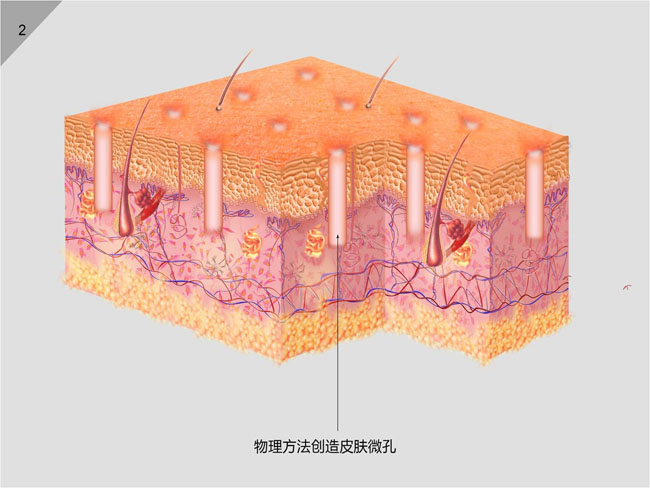 俄罗斯贵宾会·(中国)集团