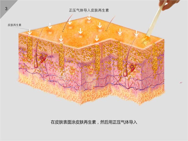 俄罗斯贵宾会·(中国)集团