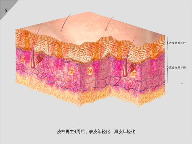 俄罗斯贵宾会·(中国)集团