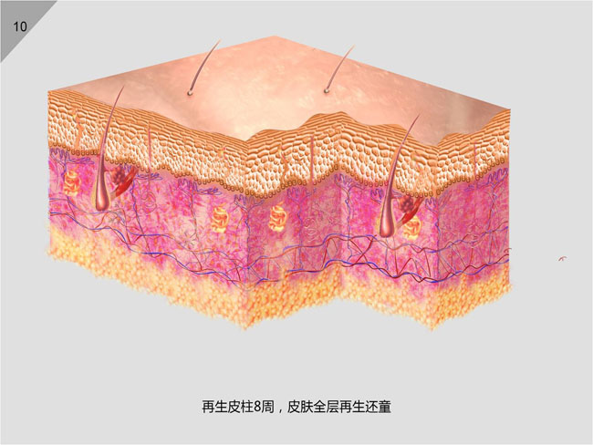 俄罗斯贵宾会·(中国)集团