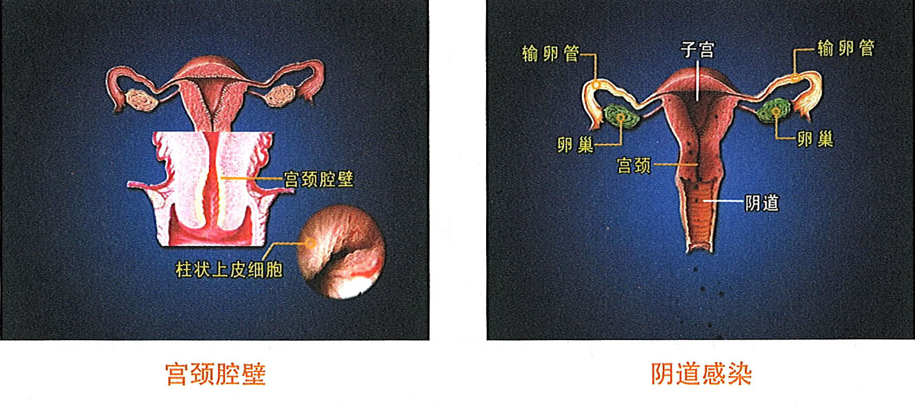 俄罗斯贵宾会·(中国)集团